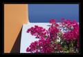 Haus Blumen #4245