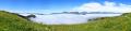 Simmental Pano #32594 Simmental Pano #32594