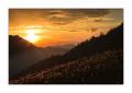 Morgenstimmung im Simmental #32729