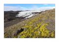 Gletscher Myrdalsjoekull #33117