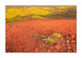 Landmannalaugar #33458