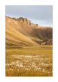 Landmannalaugar #33493