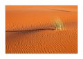Sandspuren #27911