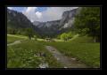 Diemtigtal #15199 Diemtigtal #15199