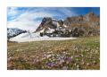 Frühling im Diemtigtal #32093 Pano