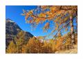 Herbst im Saastal #35484