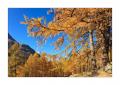 Herbst im Saastal #35489