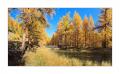 Melchboden Pano #35553 Melchboden Pano #35553