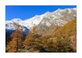 Saas-Fee #35504