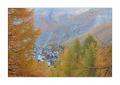 Saas-Fee #35142
