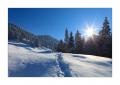 Winter bei Oberiberg #25839