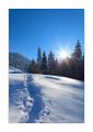Winter bei Oberiberg #25846