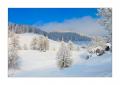 Winter im Eigental #25901
