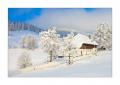 Winter im Eigental #25906