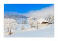 Winter im Eigental #25910