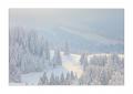 Winter im Eigental #25912