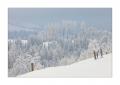 Winter im Eigental #25914