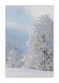 Winter im Eigental #25917