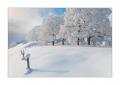 Winter im Eigental #25940