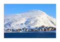 Nordvagen #36541