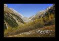 Gasterntal #16172 Gasterntal #16172