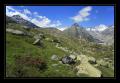 Grimsel #8316 Grimsel #8316