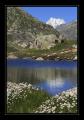 Grimselpass #8299