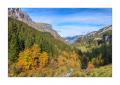 Bisistal im Herbst #39912