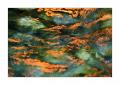 Wasser abstrakt #40587