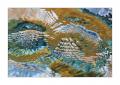 Wasser abstrakt #40673 Wasser abstrakt #40673