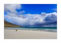Eselspinguine am Strand #333253 Eselspinguine am Strand #333253