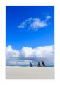 Eselspinguine am Strand #333263 Eselspinguine am Strand #333263