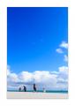 Eselspinguine am Strand #333264