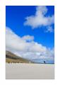 Eselspinguine am Strand #333265
