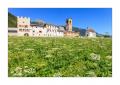 Kloster Son Jon #32774