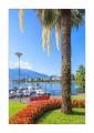 Locarno Seepromenade #333114