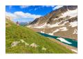 Wanderer #32945