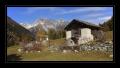 Bergell #11497