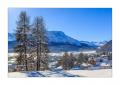 Samedan #339003