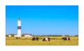 Sylt Leuchtturm #35631
