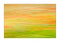 Blumenwiese #35859