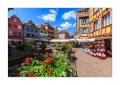 Colmar #36015