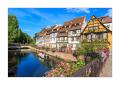 Colmar #36028