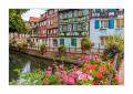 Colmar #36051