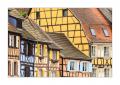 Colmar #36052