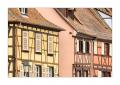 Colmar #36055 Colmar #36055