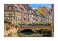 Colmar #36073