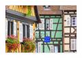 Colmar #36105
