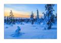 Winter in Lappland #30172