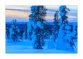 Winter in Lappland #30180